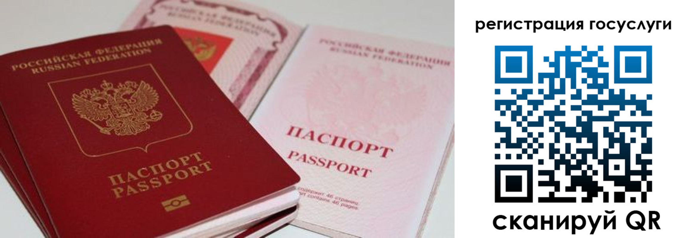регистрация для школы в Пушкино